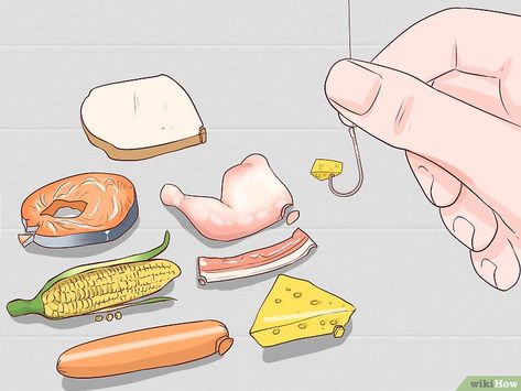 5 Ways to Make Fish Bait Without Worms - wikiHow Diy Fishing Bait, How To Catch Catfish, How To Make Fish, Diy Fishing, Fish Bait, Small Frog, Fishing For Beginners, Fishing Diy, Crappie Fishing