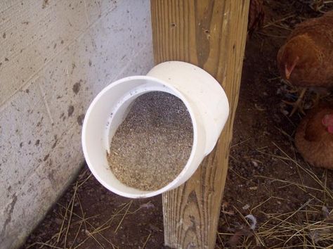 Diy Mineral Feeder For Goats, Goat Mineral Feeder, Goat Minerals, Goat Feeders, Farm Goats, Sheep Barn, Milk Goats, Mini Sheep, Goat Feeder