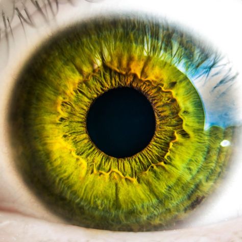 Photographier un oeil en macro. Marketing Apps, Eye Center, Gene Therapy, Vision Eye, Digital Services, Yoga Nidra, Eye Photography, Human Eye, Images Esthétiques