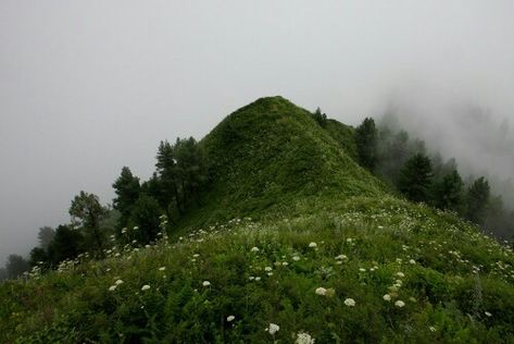 Rise Of The Guardians, Nature Aesthetic, Green Grass, Pretty Places, Green Aesthetic, Mother Earth, Mother Nature, Beautiful Places, Floating