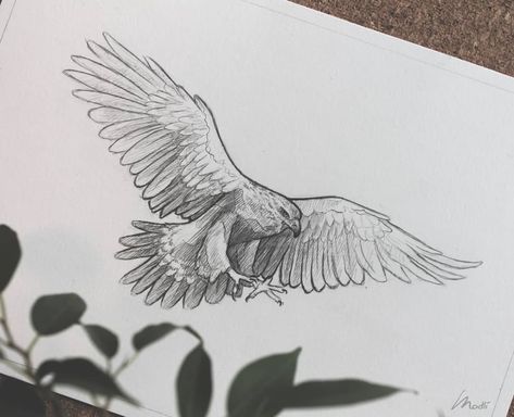 Flying Animal Tattoo, Eagle Wings Drawing, Eagle Drawing Sketches, Eagle Flying Drawing, Flying Eagle Drawing, Eagle Art Draw, Golden Eagle Drawing, Eagle Pencil Drawing, Art Ideas Sketches