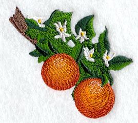 Orange Blossom design (C1394) from www.Emblibrary.com Portrait Embroidery, Fruit Orange, Puppy Harness, Embroidery Library, Machine Embroidery Patterns, Appliqué Patch, Embroidery Patches, Amazon Art, Orange Blossom