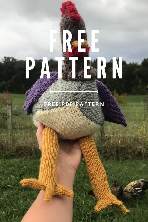 I’ve raised and cared for hundreds and hundreds of chickens here on our farm. So, it’s only fitting that this sweet friend should come into creation! I spent an awful lot of time studying my own chickens while knitting and designing this big guy. At completion, this chicken is roughly the same size as the chickens pecking around in my grass! I hope you enjoy making this chicken. He was such a joy to put together! Stuffed Animal Chicken Pattern, Free Knitted Chicken Patterns, Knit Chicken Pattern Free, Chicken Knitting Pattern Free, Chicken Knitting Pattern, Stuffed Animals Patterns Free, Emotional Support Chicken Free Pattern, Knitted Chickens Free Pattern, Knit Toys Free Pattern Stuffed Animals