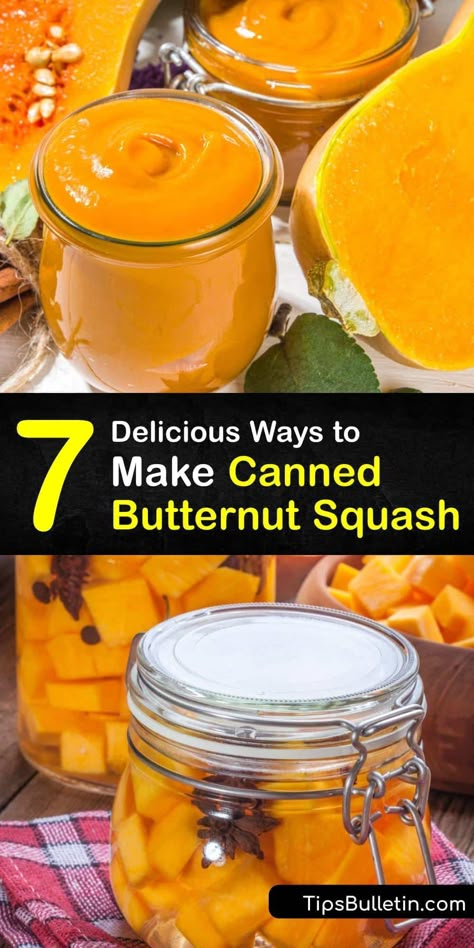 Can Squash How To, Canning Winter Squash Recipes, Canned Butternut Squash Soup, How To Tell When Butternut Squash Is Ripe, Can Squash Recipes, Canning Butternut Squash Puree, Canning Squash Soup, Canning Buttercup Squash, Butternut Squash Soup For Canning