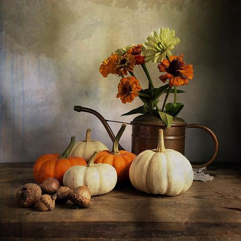 Easy Clay Sculptures, Still Life Pictures, Life Drawing Reference, Still Life Artists, Autumn Orange, Beautiful Landscape Photography, Still Life Photos, Still Life Drawing, Autumn Painting