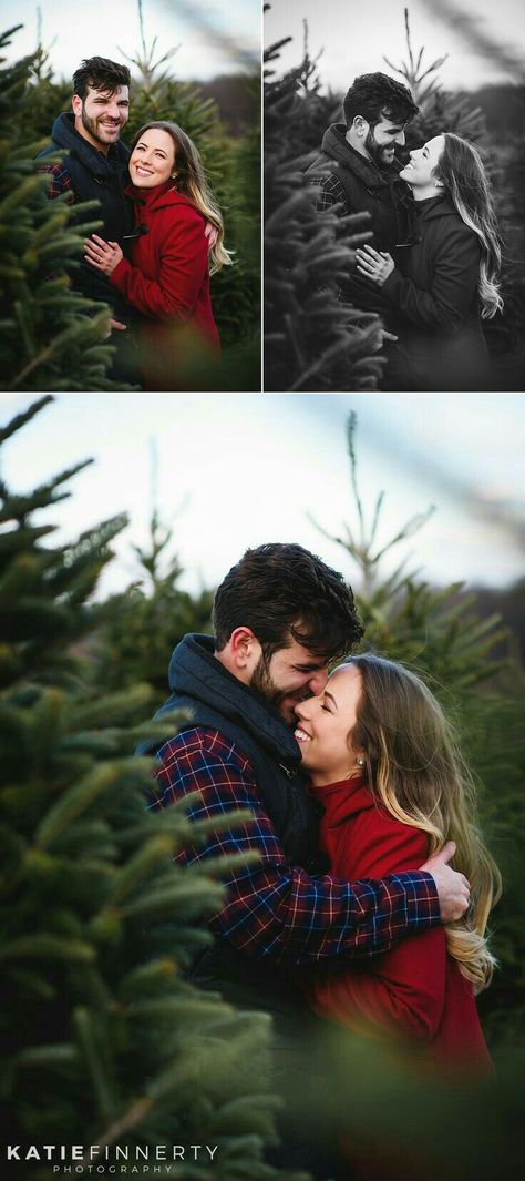 Christmas Tree Photoshoot, Christmas Tree Farm Pictures, Tree Farm Pictures, Tree Farm Engagement, Christmas Tree Farm Mini Session, Tree Farm Photo Shoot, Christmas Engagement Photos, Christmas Tree Farm Photo Shoot, Christmas Tree Farm Photos