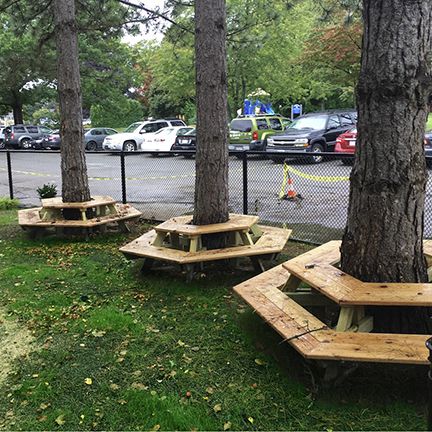 Natural Playgrounds Store Around Tree Seating, Tree Seats Wrap Around, Table Built Around Tree, Wood Playground Ideas, Circle Bench Around Tree, Round Bench Around Tree, Table Around Tree, Natural Playground Diy, Bench Ideas Outdoor