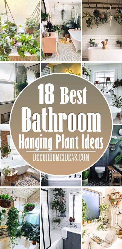 Best Hanging Plant Ideas For Bathroom. Bathroom plants are such a simple and affordable way to update your bathroom, whether it’s a single trailing plant on the windowsill or a full green plant wall. #decorhomeideas Bathroom Plants Hanging, Hanging Plant Ideas, Bathroom Plants Decor, Best Bathroom Plants, Indoor Plant Wall, Window Plants, Room Vibes, Hanging Plant Wall, Hanging Plants Indoor