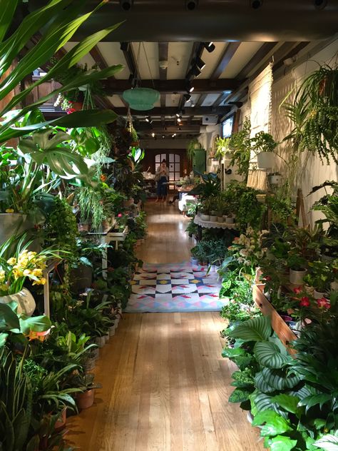 plant store Houses Full Of Plants, Bedroom With Houseplants, Plant Covered Room, House Plant Jungle, House Plant Shop, House With Lots Of Plants, Plant Shop Interior, Plant Store Ideas, Plant Filled Room