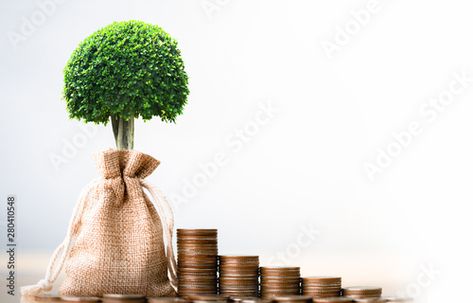 Stock Image: Coins in sack and small plant tree. Pension fund, 401K, Passive income. savings and making money. Investment and retirement. Business investment growth concept. Risk management. Investment Growth, Gold Investment, Money Investment, Safe Investments, Gold Investments, Pension Fund, 401k, Plant Tree, Investment Advice