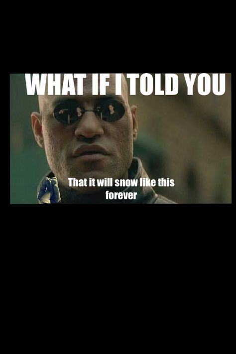 What if i told you snow meme funny forever morpheus matrix humor Snow Meme, Superbowl Humor, Bad Boss, True Facts, Say More, Funny Meme, Say Something, Told You, Going To The Gym