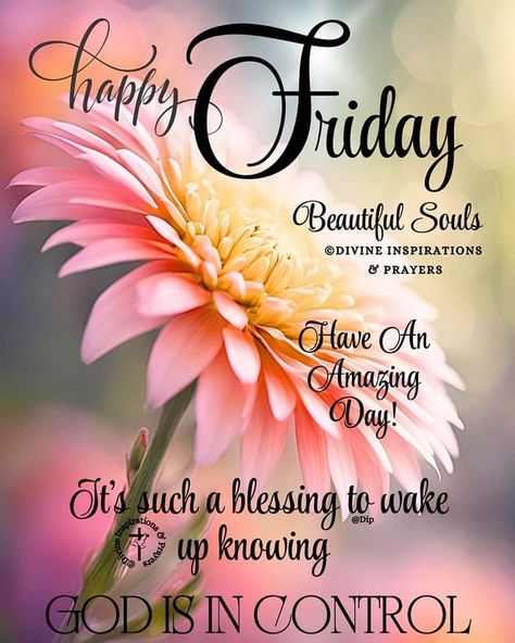 Friday And Weekend Blessings, Scentsy Good Morning Friday, Have A Blessed Friday Islam, Faithful Friday Blessings, Friday Motivation Inspirational, Friday Blessings Scriptures, Good Morning Friday Blessing, Friday Blessings Inspiration Prayer, Friday Morning Blessing