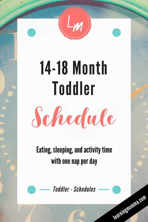 15 Month Old Schedule - One Nap Daycare Schedule, Behavior Chart Toddler, Toddler Schedule, Baby Schedule, Toddler Behavior, Time Schedule, Toddler Discipline, Day Schedule, Toddler Development