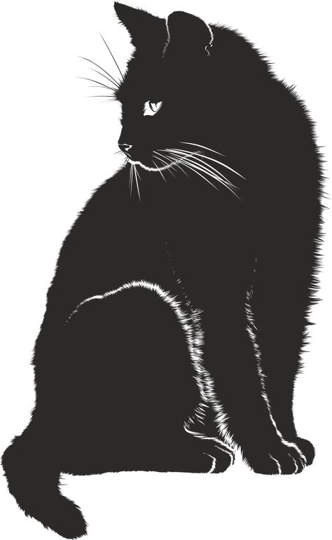 Cat, Shadow, Silhouette, Black, Animal Silhouette Chat, Black Cat Drawing, Kitty Tattoos, Draw Cats, Cat Shadow, Tapeta Harry Potter, Shadow Silhouette, Cat Clipart, Black Cat Art