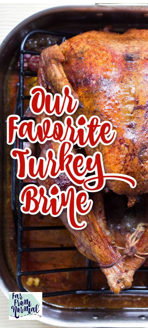 Brine And Bake Turkey, Best Turkey Brine For Smoked Turkey, Brine Turkey Recipes Thanksgiving, Turkey Brine Recipes Best, Quick Turkey Brine, Turkey Brine For Smoked Turkey, Turkey Brine Recipes Easy, Smoked Turkey Brine, Best Turkey Brine