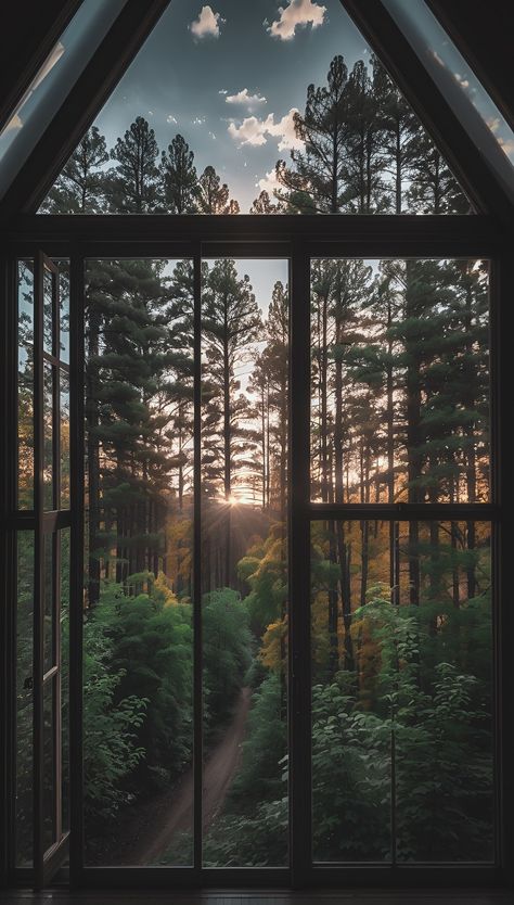 Window Forest View, House With Lots Of Windows, Beautiful Scenery Pictures, Witchy Wallpaper, Forest Photos, Forest View, Window Mirror, Nature Forest, Window View