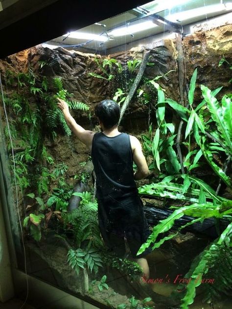 Walk In Terrarium, Huge Terrarium, Snake Terrarium, Frog Terrarium, Gecko Terrarium, Aquarium Terrarium, Reptile Room, Reptile Tank, Tiny Garden