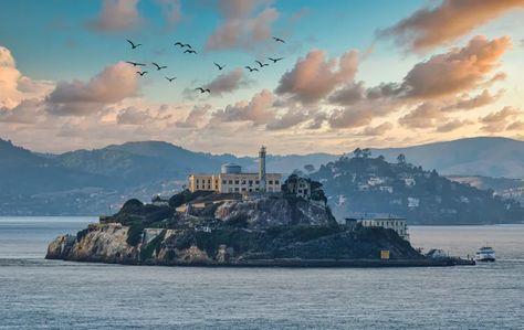 U.S. Marshals update search for Alcatraz escapees in 1962 Alcatraz Island, Prison Guard, Life Vest, Given Up, Infamous, Rafting, New Age, Photo Credit, Mood Board