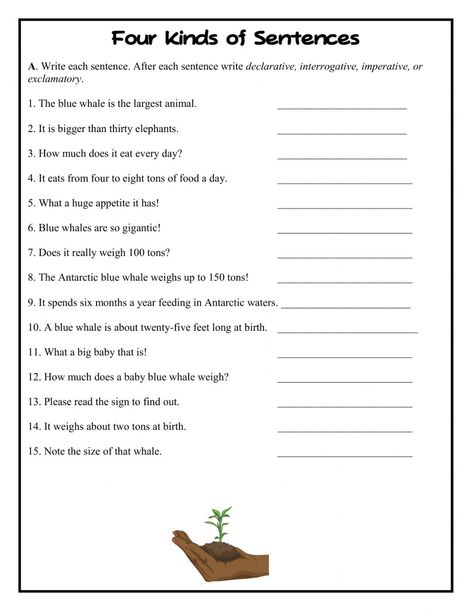 Kinds Of Sentences Worksheet Grade 3, Kind Of Sentences Worksheet, Types Of Sentences Worksheet Grade 5, Four Types Of Sentences, Simple Sentences Worksheet, Sentence Structure Activities, Book Types, Create Worksheets, Types Of Sentences Worksheet