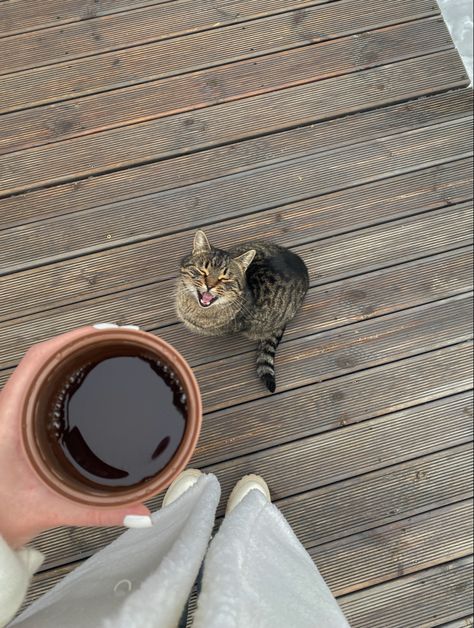 Cat Instagram Ideas, Photo With Cat Ideas, Pics With Cat, Cat Insta Story, Cat Pics Aesthetic, Cat Asthetics Photos, Selfie With Cat, Cat Photo Ideas, Cat Mom Aesthetic