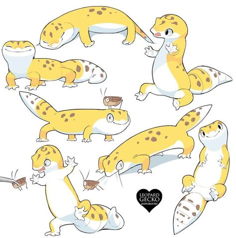 Leopard Gecko Illustration, Gecko Drawing Reference, Cute Salamander Drawing, Cute Gecko Drawing, Leopard Gecko Drawing, Cute Lizard Drawing, Leopard Gecko Art, Gecko Illustration, Gecko Drawing