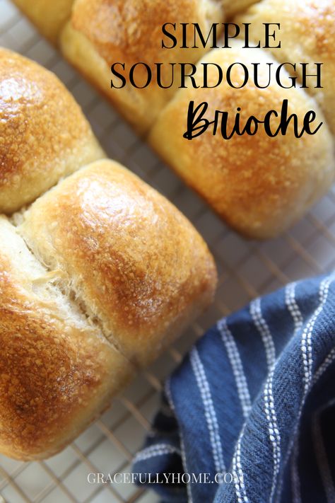 Sourdough Discard Brioche Bread, Sourdough Brioche Bread Recipe, Brioche Sourdough Recipe, Sourdough Brioche Rolls, Sourdough Brioche Buns, Sourdough Brioche Bread, How To Make Bread At Home, Bagel Balls, Sourdough Bread Recipes