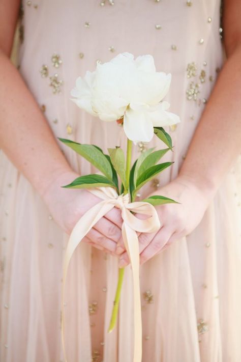 20 Stunning (and Budget Friendly) Single Stem Bouquets | Chic Vintage Brides | Bloglovin’ Simple Bridesmaid Bouquets, Cheap Wedding Bouquets, Single Flower Bouquet, Chic Vintage Brides, Bridesmaid Bouquets, White Peony, Santa Barbara Wedding, Diy Wedding Flowers, Bridesmaid Flowers