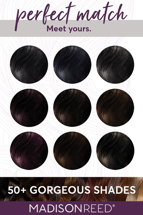 Find your perfect dark hair color match, whether you're looking for blue black hair color, soft black, blackest black, brown black hair color, plum black hair dye, dark chocolate brown, or cool sangria wine purple hair color. Our at cruelty-free home hair color leaves your hair feeling conditioned & shiny. You'll love it, 100% guaranteed. #hair #haircolor #blackhair #brownhair #darkhair Cocoa Cinnamon Hair Color, Plum Black Hair, Medium Brown Hair Dye, Cocoa Hair, Hair Color Quiz, Brown Black Hair Color, Dark Hair Color, Burgundy Hair Dye, Red Brown Hair Color