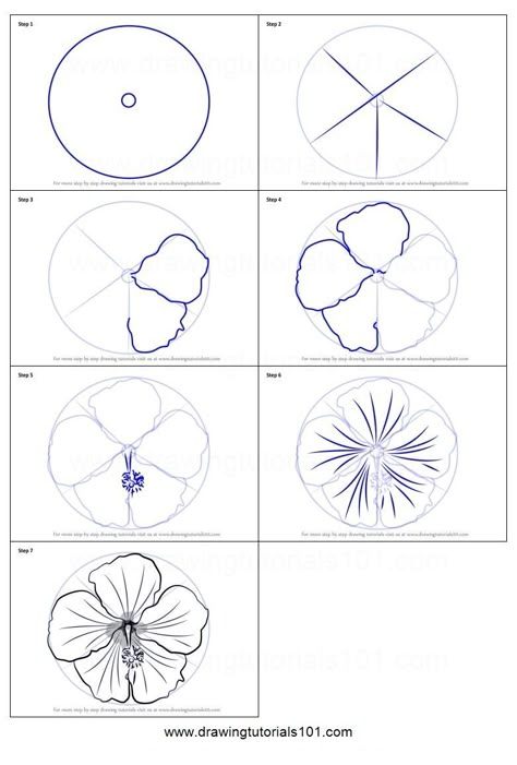 Drawing Tutorial Flower Step By Step, How To Draw A Violet Flower Step By Step, Round Flower Drawing, How To Flower Drawing, How To Draw Flower Petals, Flower Pedals Drawings, Tropical Flowers Drawing Step By Step, How To Draw Money Step By Step, Learn To Draw For Beginners Step By Step