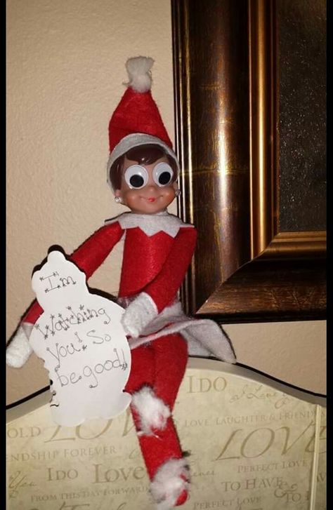 I'm watching you elf on the shelf Elf On The Shelf Watching You, Elf In Stocking Shelf Ideas, Elf 2023, Tropical Christmas Trees, Stocking Shelves, Elf Jewelry, Elf Fun, Beach Ornaments, Tropical Christmas