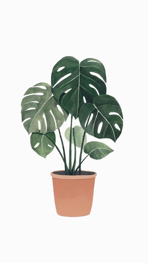 Tanaman Indoor, Seni Cat Air, Plant Wallpaper, Monstera Plant, Plant Painting, Plant Drawing, Lukisan Cat Air, Plant Illustration, Art And Illustration