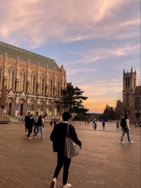 Uw College Aesthetic, Suzzalo Library, Uw Aesthetic, Uw Library, Uw Seattle, Seattle Aesthetic, Seattle University, University Aesthetic, University Of Washington Huskies