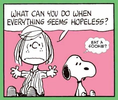 Funny Snoopy, Diet Funny, Charlie Brown Quotes, Woodstock Snoopy, Snoopy Comics, Snoopy Cartoon, Snoopy Funny, Snoopy Images, Peanuts Cartoon