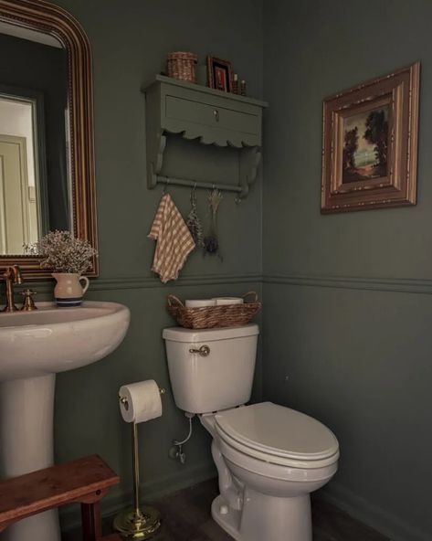 Our powder room was very "builder grade" and lacked the aesthetic appeal I wanted to achieve in our home. I saw the opportunity to transform this small yet frequently used space into a something totally out of my comfort zone and I could not be happier with the result. I had a vision of a dark rich green with lots of antique inspired gold accents. Half Bath Gold Accents, Powder Bath Paint Ideas, Dark Academia Bathroom Small, Tiny Bathroom Aesthetic, Green Bathroom With Gold Accents, Cottage Half Bath, Dark Green Small Bathroom, Cabin Powder Room, Half Bath Paint Ideas