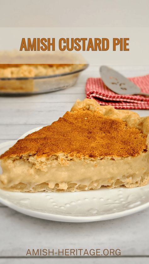 Sour Cream Pie Crust, Amish Pie Crust Recipe, Amish Custard, Best Custard Pie Recipe, Pumpkin Custard Pie, Easy Flaky Pie Crust, Unique Pie Recipes, Sugar Cream Pie Recipe, Sour Cream Pie