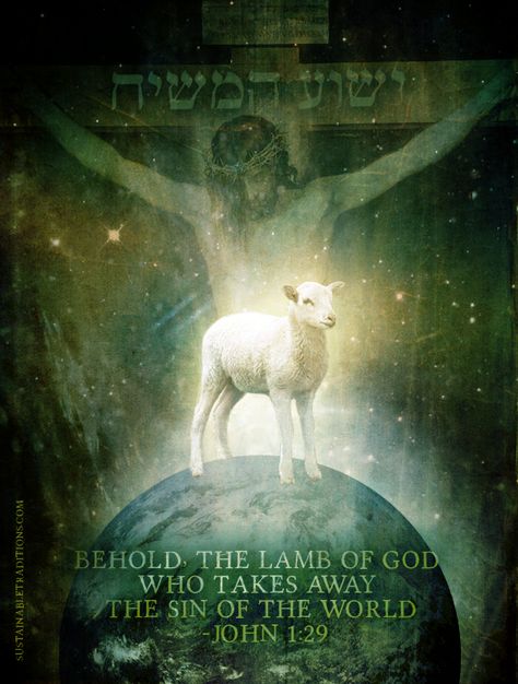 Christ Our Passover Lamb, "Behold the Lamb of God who takes away the sin of the world" (John 1:29). John 1 29, Behold The Lamb Of God, Passover Lamb, The Lamb Of God, Jesus Our Savior, Scripture For Today, Lamb Of God, The Lamb, Lion Of Judah