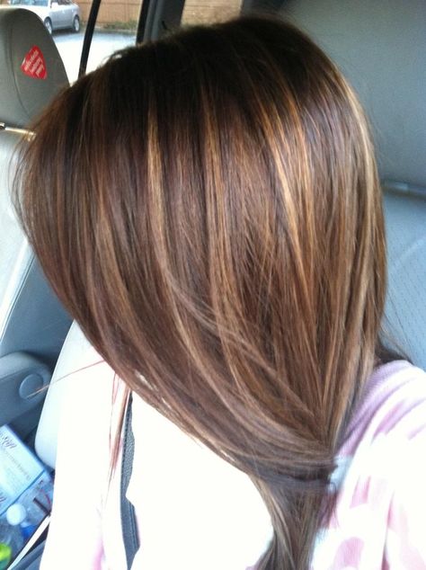 YES! these are the highlights i want!  Dark brown hair with caramel highlights Dark Brown Hair With Caramel, Dark Brown Hair With Caramel Highlights, Brown Hair With Caramel, Brown Hair With Caramel Highlights, Hairstyle Color, Long Hairstyle, Short Brown Hair, Caramel Hair, Caramel Highlights