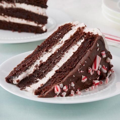 Chocolate Peppermint Cake, Peppermint Dessert, Recipes Using Cake Mix, Mint Chocolate Cake, Peppermint Cake, Chocolate Cobbler, Cake Mix Desserts, Holiday Birthday Party, Baking Cocoa