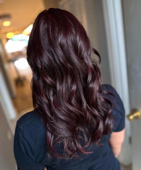 Dark Cherry Hair Color, Cherry Red Hair Color, Blonde Hair With Red Tips, Chocolate Cherry Hair, Black Cherry Hair Color, Cherry Cola Hair, Black Cherry Hair, Cherry Hair Colors, Cherry Red Hair