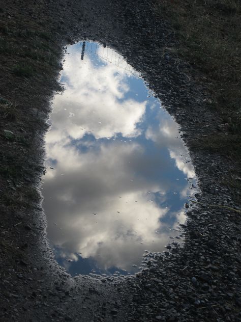 Walking to the pond, the sky is reflected in a rain puddle and I pause. Photos Of Reflection, Water Jet Texture, Puddle Reflection Photography, Sky Reflection On Water, Puddle Drawing, Water Reflection Photography, Puddle Reflection, Rain Puddle, Pond Reflection