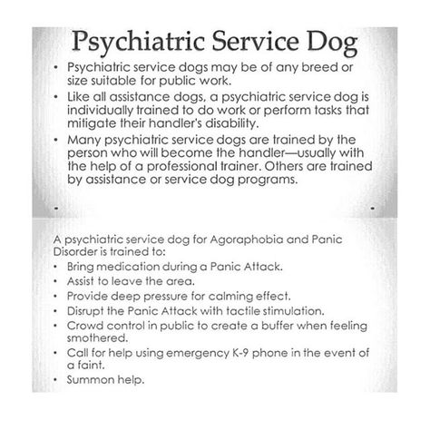 Train Service Dog, Training An Emotional Support Dog, How To Train Your Dog To Be A Service Dog, Service Dogs Training, Psychiatric Service Dog Tasks, Psychiatric Service Dog Patches, Psychiatric Service Dog Training, Psychiatric Service Dog Gear, Therapy Dog Training