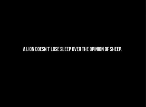 Lions don't lose sleep quote. lion tattoo inspiration Lions Dont Lose Sleep, Lion Aesthetic, Interesting Thoughts, Sleep Quotes, Mind Thoughts, Lion Tattoo, Twisted Wonderland, All About Me!, Quote Aesthetic