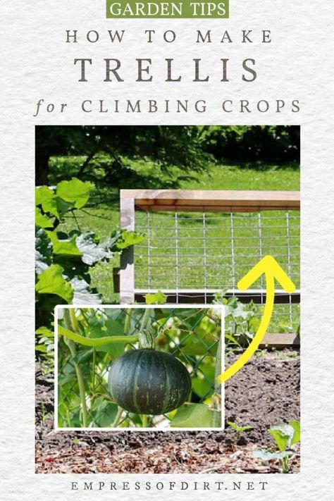 Watermelon Trellis Diy, Squash Trellis Ideas, Watermelon Trellis, Zucchini Trellis, Easy Trellis, Outdoor Trellis Ideas, Climbing Beans, Squash Trellis, Garden Markers Diy