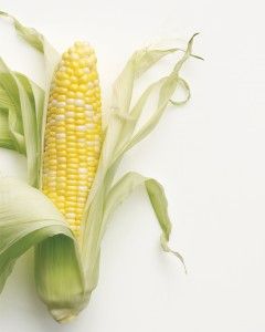 Corn Recipes Season Corn, Produce Recipes, Seeds Color, Corn Chowder Recipe, Corn Fritters, Corn Kernel, Corn Chowder, Corn Recipes, Garden Guide