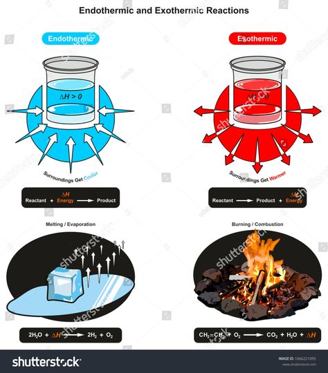 Endothermic and Exothermic Reactions infographic diagram showing relation between reactant energy and product also examples of ice cube melting and fire burning for chemistry science educationrelation#showing#energy#reactant Endothermic And Exothermic, Physical Science Projects, Infographic Diagram, Ice Cube Melting, Exothermic Reaction, Nuclear Fusion, Mechanical Energy, Chemistry Lessons, Science Notes