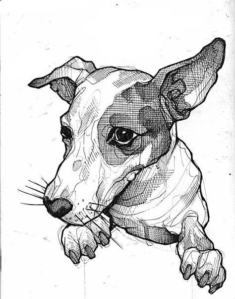 Jack Russel Illustrations, Dog Pen Drawing, Jack Russel Drawing, Dog Ink Drawing, Lea Nahon, Dog Pencil Drawing, Dog Drawing Simple, Animal Tattoo Ideas, Desenho Tattoo