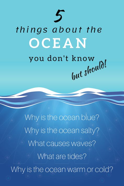 Ocean Kids Activities, Ocean Day Activities For Kids, Ocean Worksheets For Kids, Ocean Projects For Kids, Facts About Ocean, Ocean Lessons, Ocean Science Experiments, Ocean Unit Study, Ocean Lesson Plans