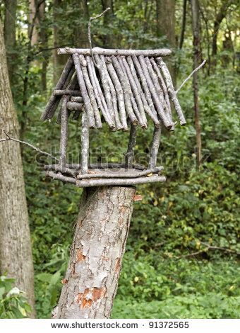 Diy Bird Table, Diy Hanging Bird Feeder, Homesteading Goals, Backyard Hardscape, Rustic Bird Feeders, Bird Feeder Station, Twig Crafts, Wooden Bird Feeders, Village Square