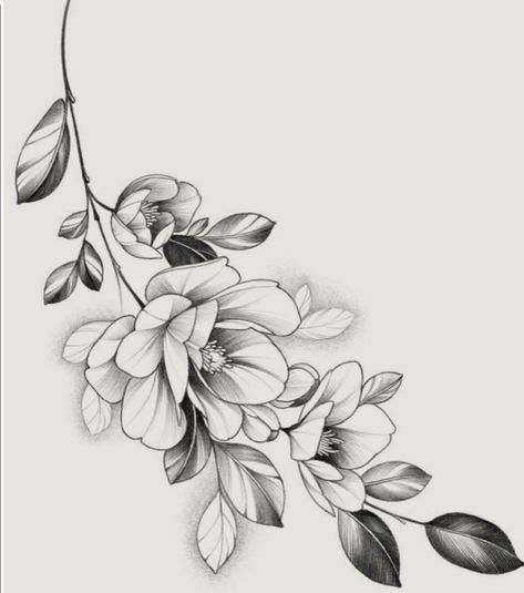 Line Work Flower Tattoo, Tattoos Line Work, Flower Tattoo Placement, Gardenia Tattoo, Sketched Flowers, Flower Shoulder Tattoo, Magnolia Tattoo, Daffodil Tattoo, Japanese Flower Tattoo