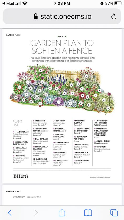 Zone 4 Landscaping Plans, Foundation Garden Ideas, Marigold Landscaping, Preplanned Garden, Wildflower Landscaping, Backyard Wildflower Garden, Cottage Garden Plan, Flower Garden Layouts, Flower Garden Plans